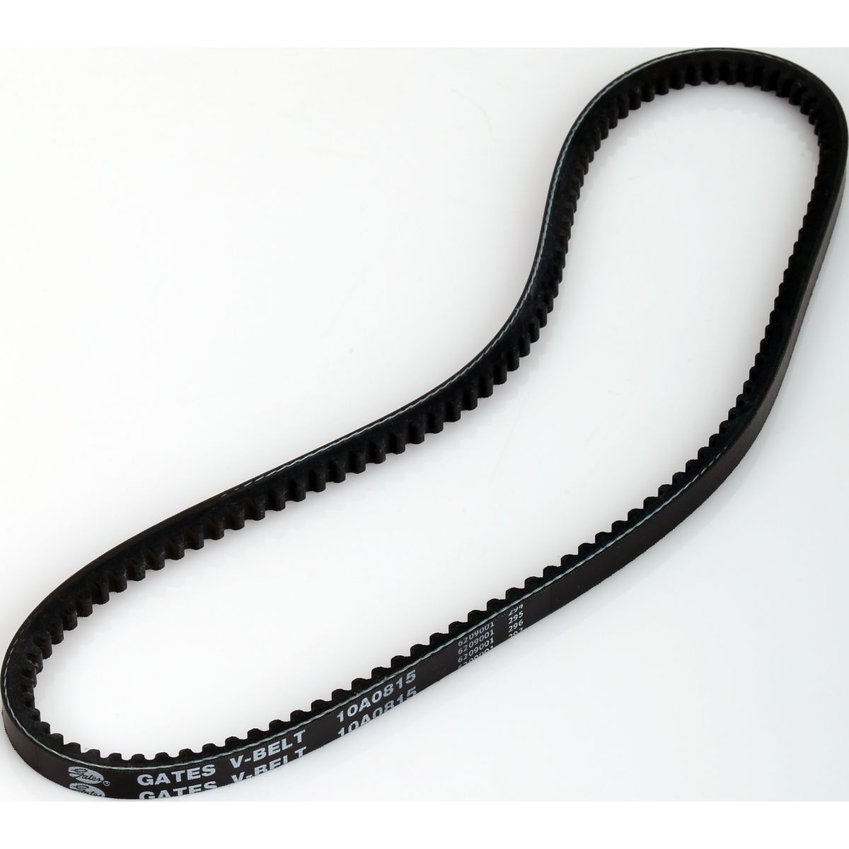 Gates Micro-V Belt 10A0815