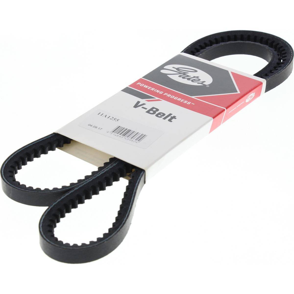 Gates Micro-V Belt 11A1255