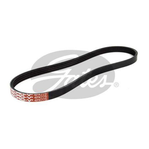 Gates Ribbed Belt 4PK775