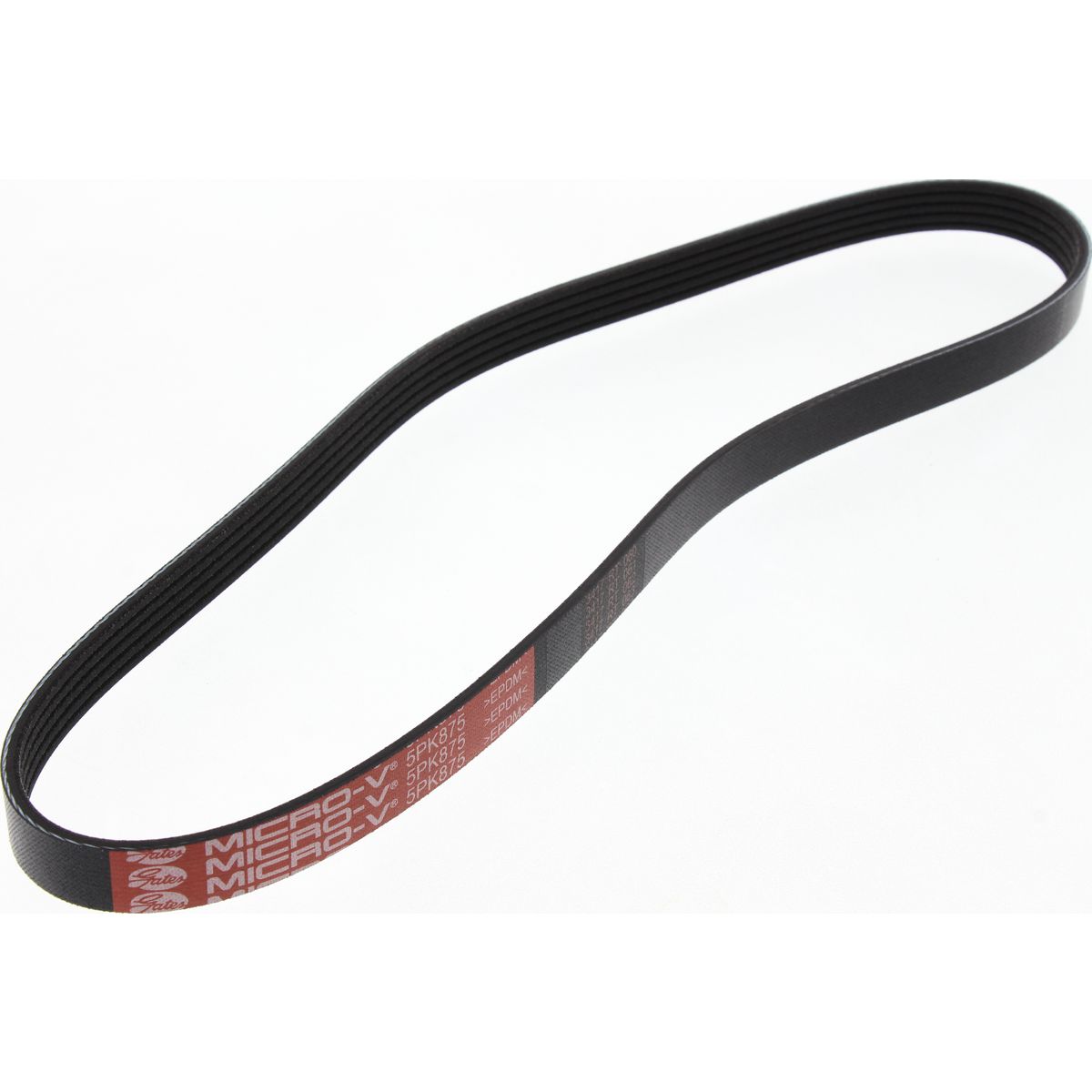 Gates Ribbed Belt 5PK875