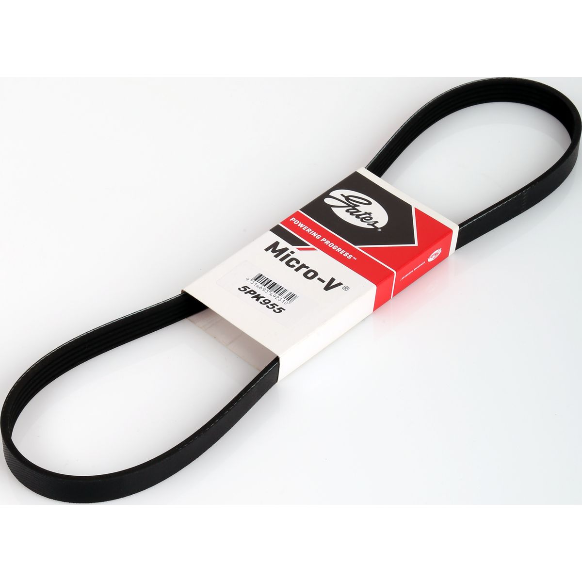 Gates Ribbed Belt 5PK955