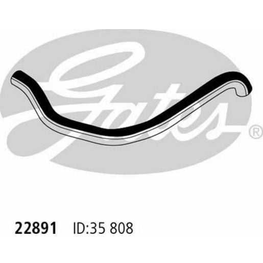 Gates Radiator Hose 22891
