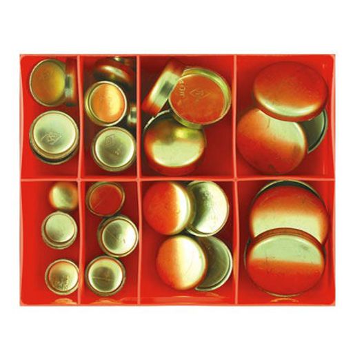 Champion Fasteners Metric Brass Welch Plug Assortment CA43