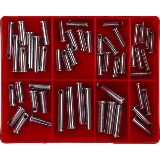 Champion Fasteners ClEVis Pin Assortment CA52