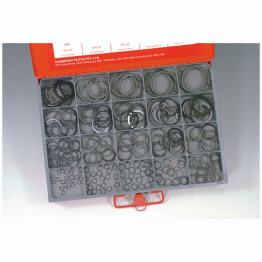 Champion Fasteners 6mm To 50mm Circlip CA2015