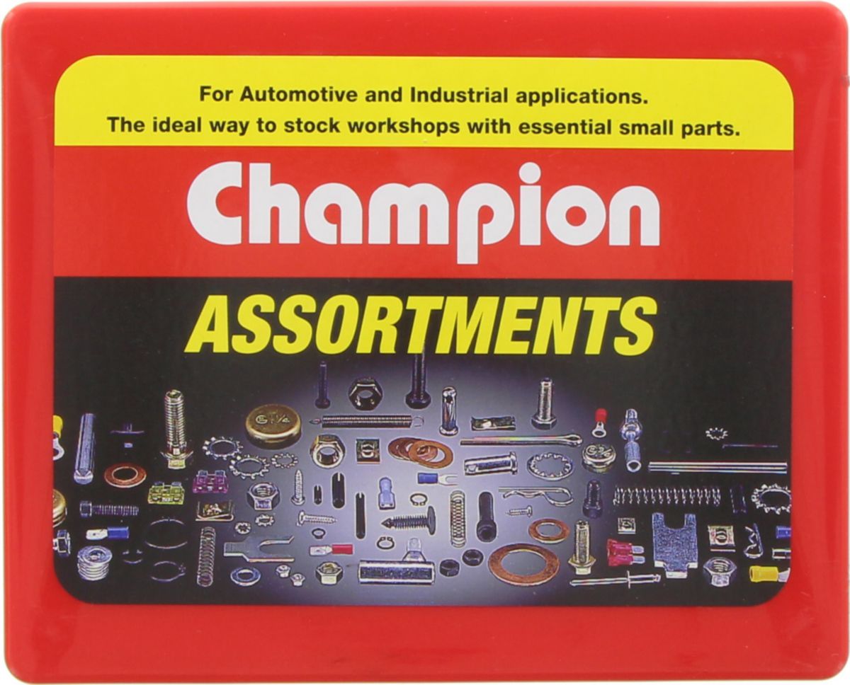 Champion Grease Nipple Assortment Pack Metric 12 Sizes 105Pk CA109