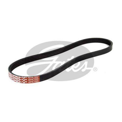 Gates Ribbed Belt 4PK760