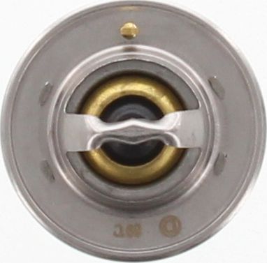 Dayco Thermostat DT73G
