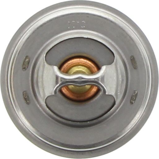 Dayco Thermostat DT74E