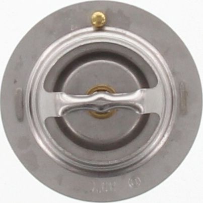Dayco Thermostat DT80G