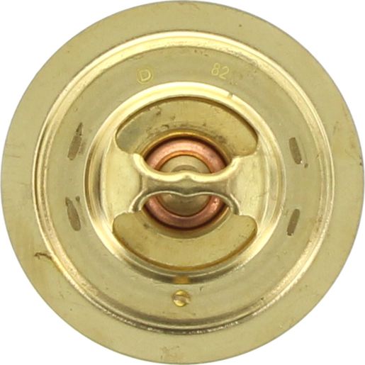 Dayco Thermostat DT81A