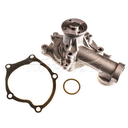 Tru-Flow Water Pump (GMB) TF3061