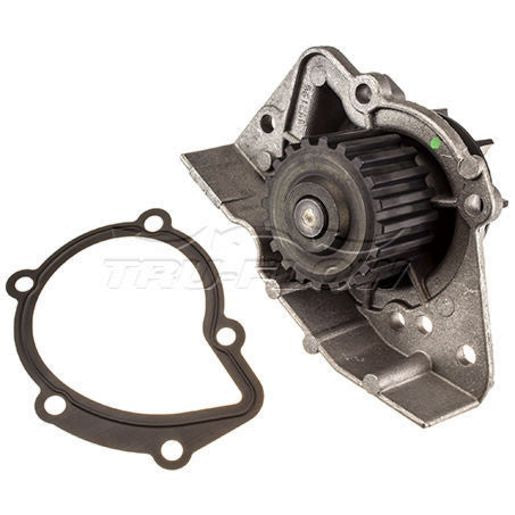 Tru-Flow Water Pump (Saleri Italy) TF8101