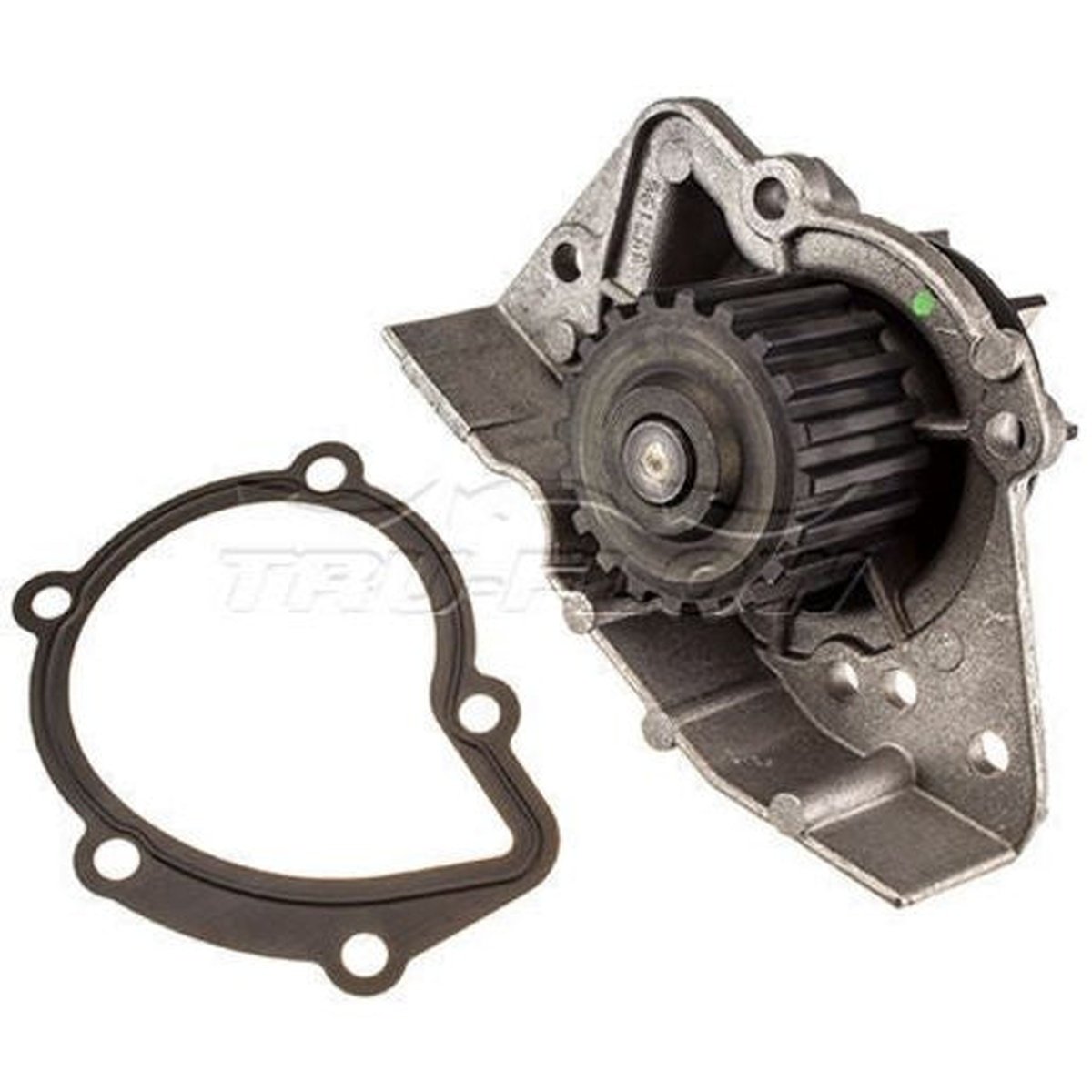 Tru-Flow Water Pump (Saleri Italy) TF8101