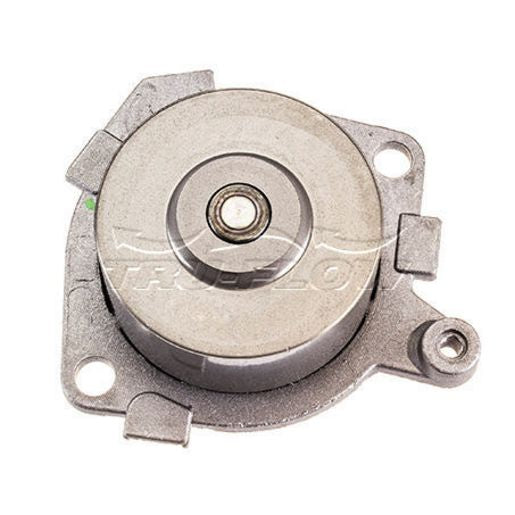Tru-Flow Water Pump (Saleri Italy) TF8110