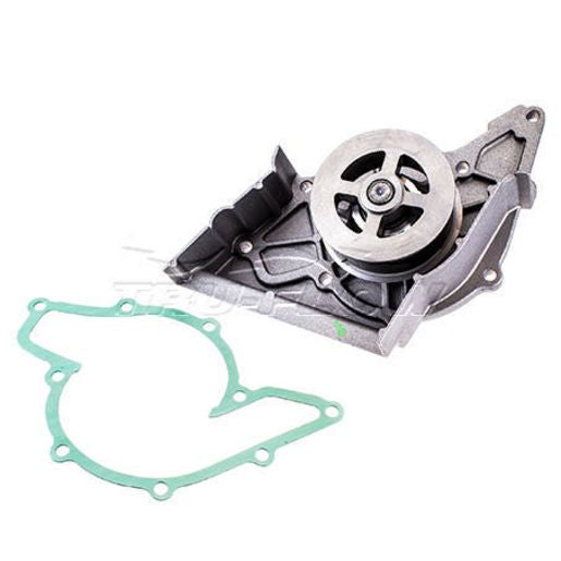 Tru-Flow Water Pump (Saleri Italy) TF8135