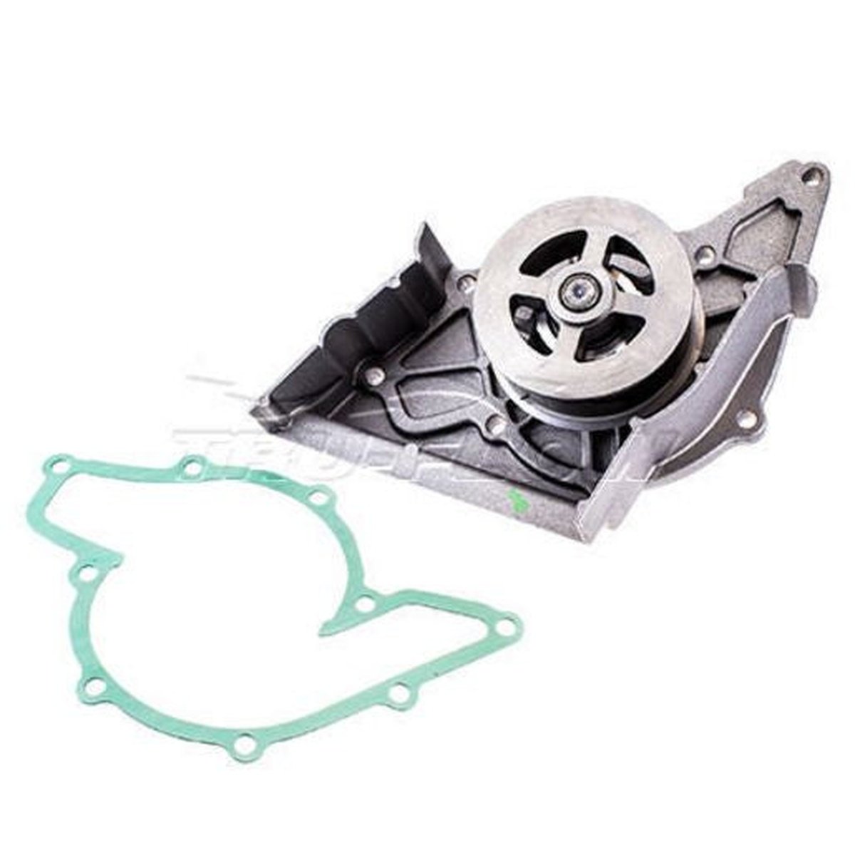 Tru-Flow Water Pump (Saleri Italy) TF8135