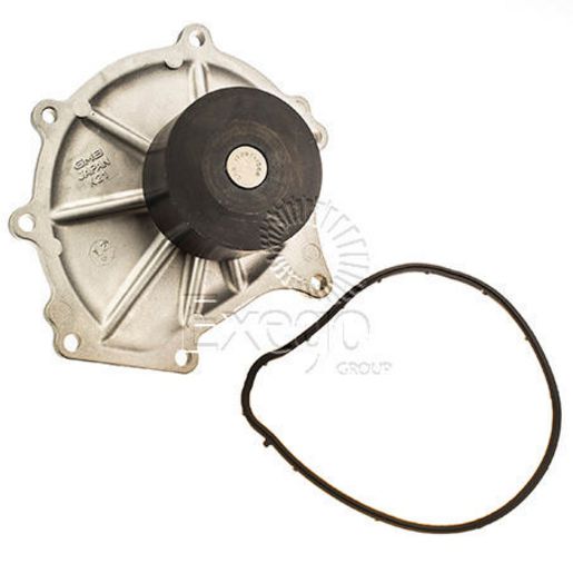 Tru-Flow Water Pump (Saleri Italy) TF8198