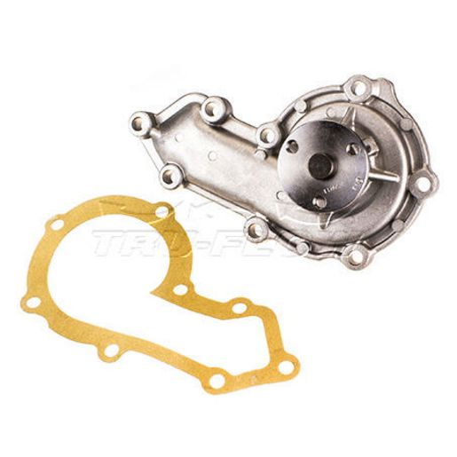 Tru-Flow Water Pump (Saleri Italy) TF8199