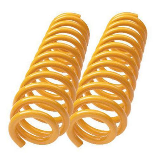 Ironman Ironman Coil Spring Set NISS010C