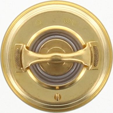 Dayco Thermostat DT31A