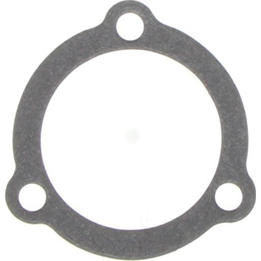 Dayco Thermostat Seal DTG16