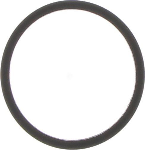 Dayco Thermostat Seal DTG45