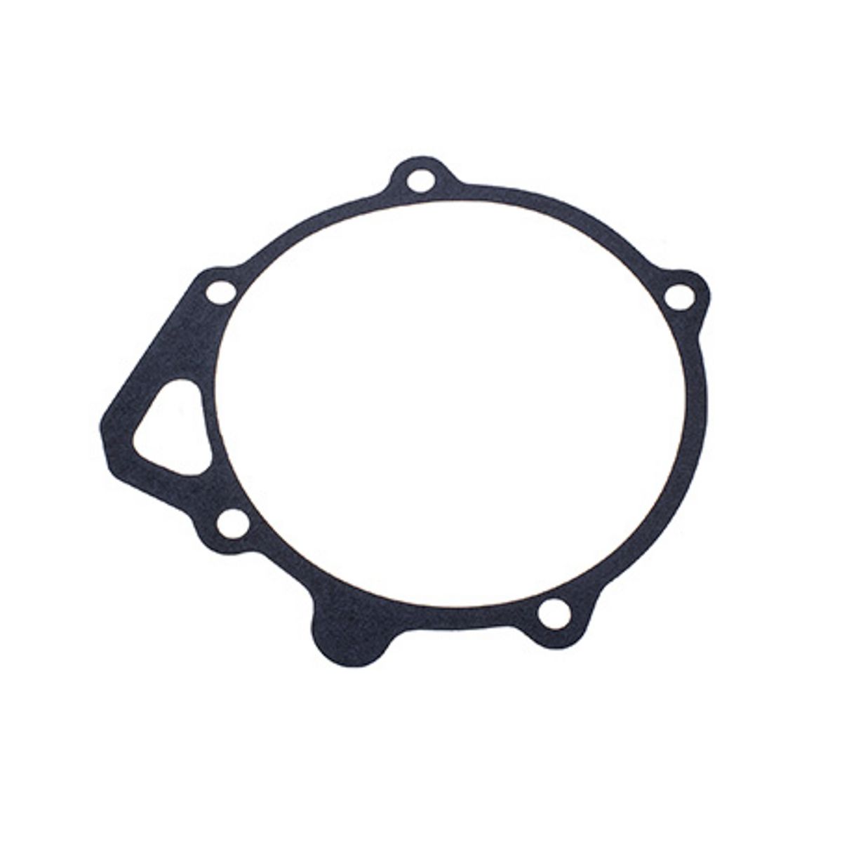 Transtec Gasket (Fmx) Gov Support To Case FG-2509