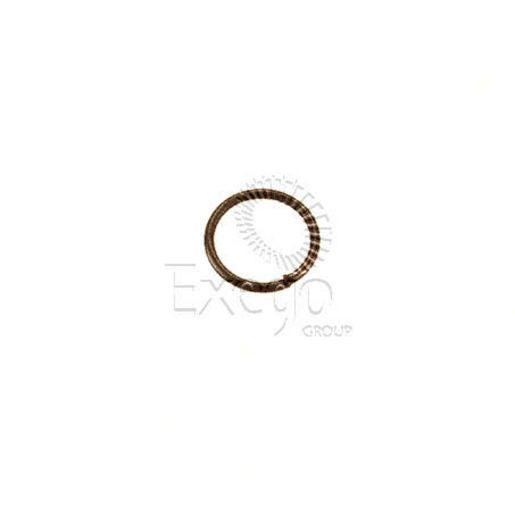 Transtec Steering Pump Circlip / Snap Ring GP-10001