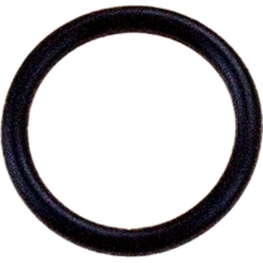 ZF O'Ring Pickup Tube 4Hp-22 R/Rvr ZO-3163