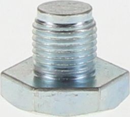 Kelpro Drain Plug Guide Point 1/2in. x 1.5 RSP1022