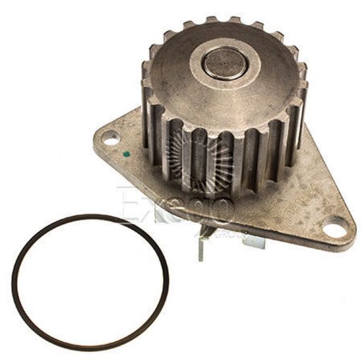 Tru-Flow Water Pump (Saleri Italy) TF8235