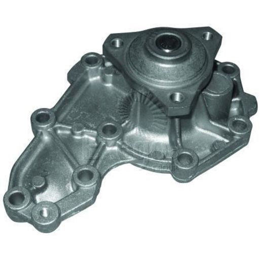 Tru-Flow Water Pump (Saleri Italy) TF8236