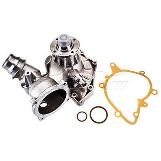 Tru-Flow Water Pump (Saleri Italy) TF8258