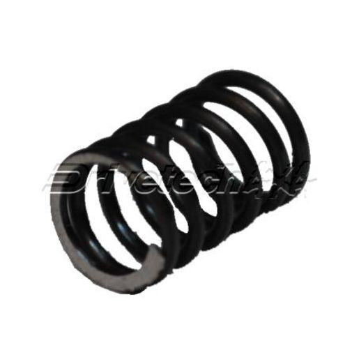 Drivetech 5th Gear Detent Spring 087-139031