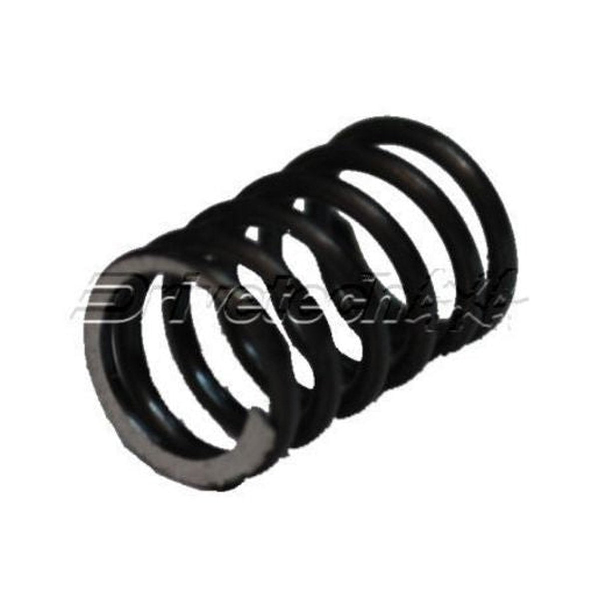 Drivetech 5th Gear Detent Spring 087-139031