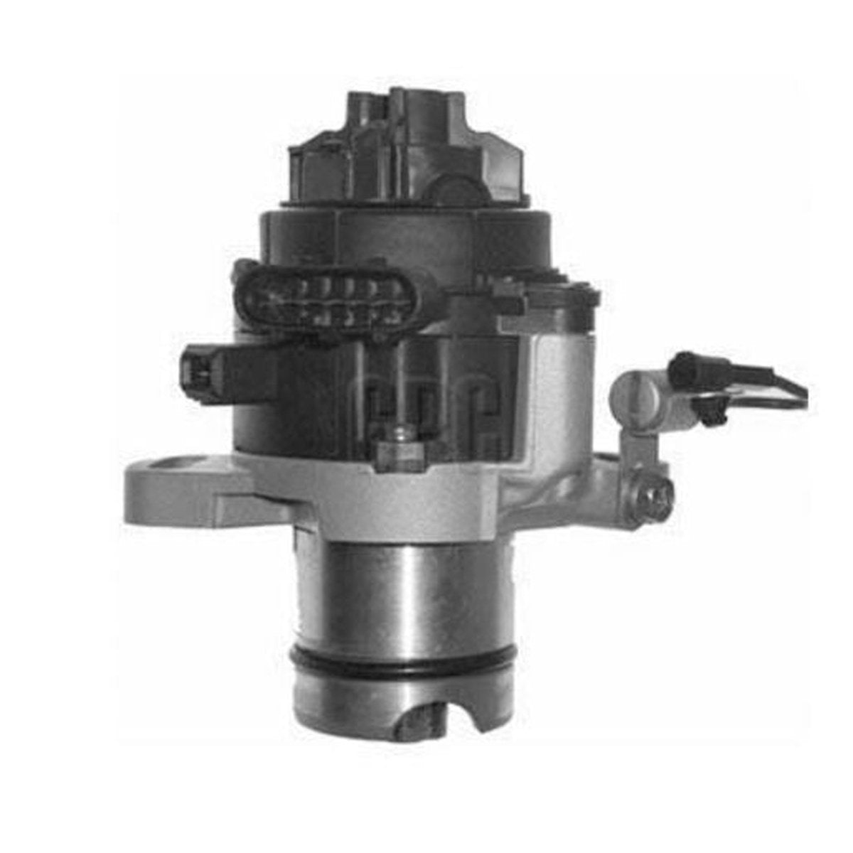 RAE Ignition Distributor DJ60071N