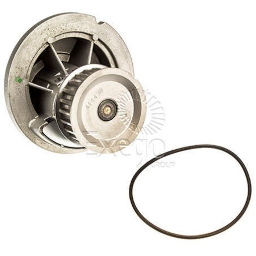 Tru-Flow Water Pump (Saleri Italy) TF8278