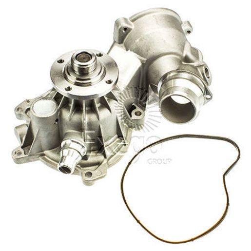 Tru-Flow Water Pump (Saleri Italy) TF8286