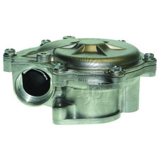 Tru-Flow Water Pump (Saleri Italy) TF8287