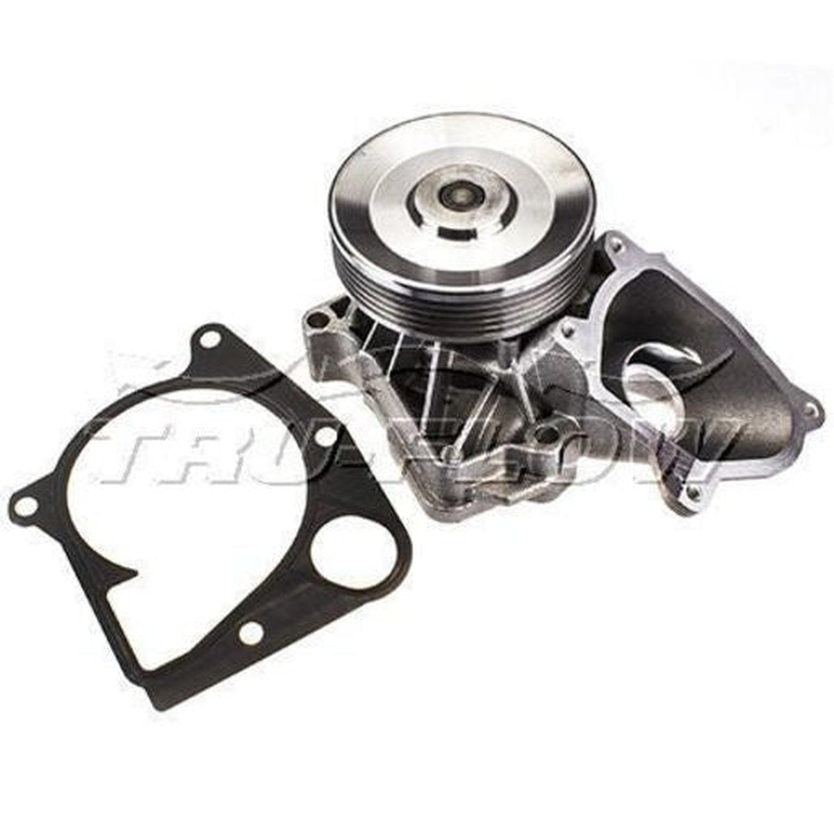 Tru-Flow Water Pump (Saleri Italy) TF8290