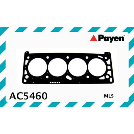 Payen Cylinder Head Gasket AC5460