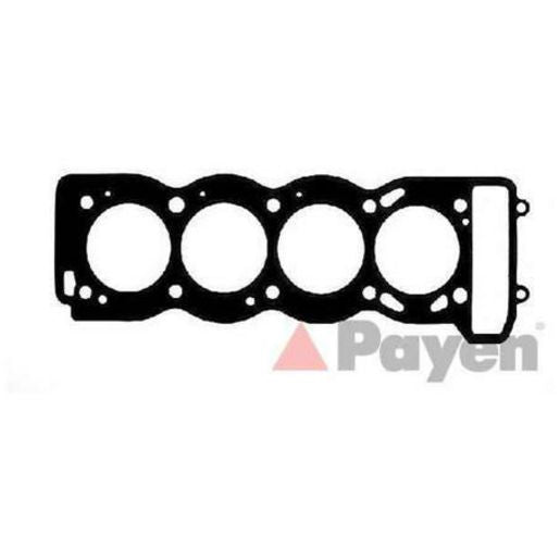 Payen Cylinder Head Gasket AC5630