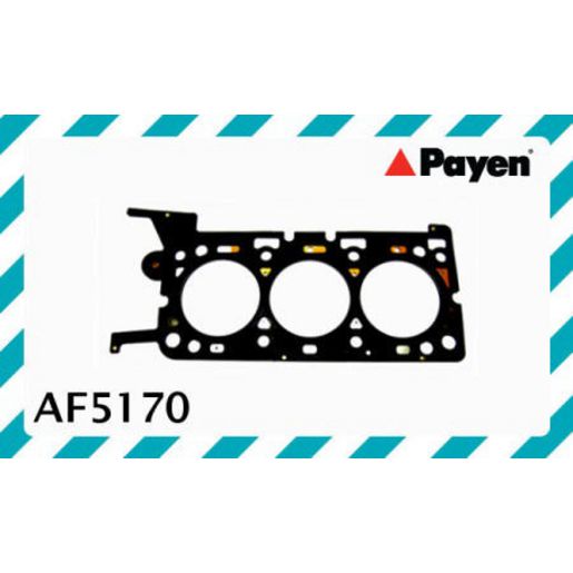Payen Cylinder Head Gasket AF5170