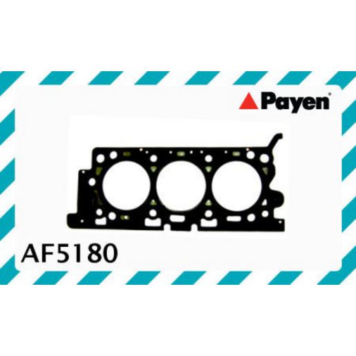 Payen Cylinder Head Gasket AF5180