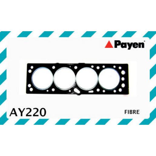 Payen Cylinder Head Gasket AY220