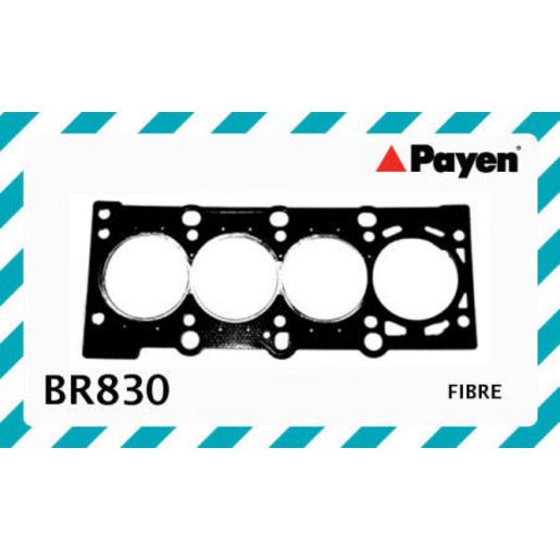 Payen Cylinder Head Gasket BR830