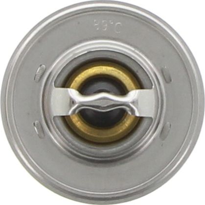 Dayco Thermostat DT36G