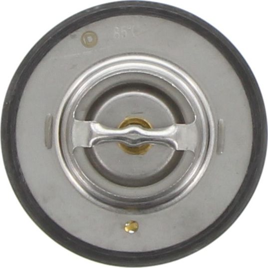 Dayco Thermostat DT80H