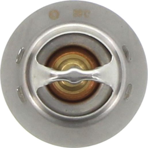 Dayco Thermostat DT98G
